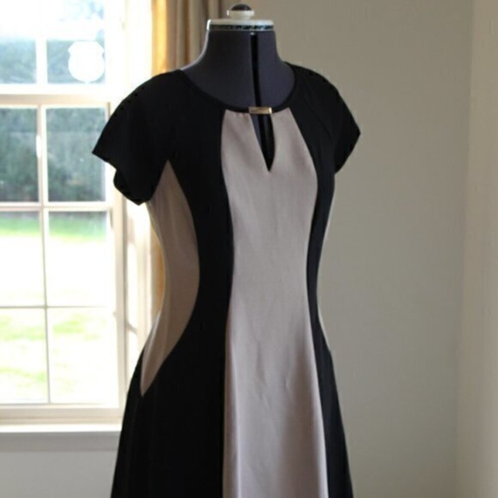 Sandra Darren Dress with Gold Accent size 6